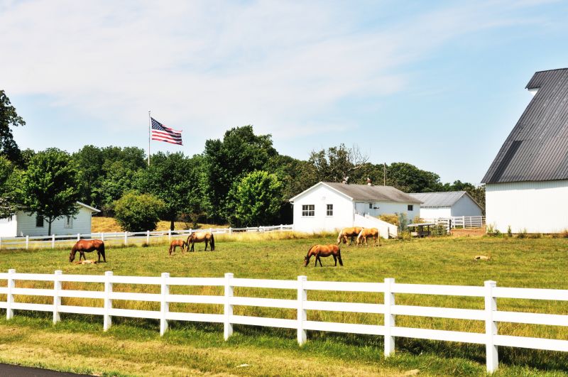 Farm Fence Services