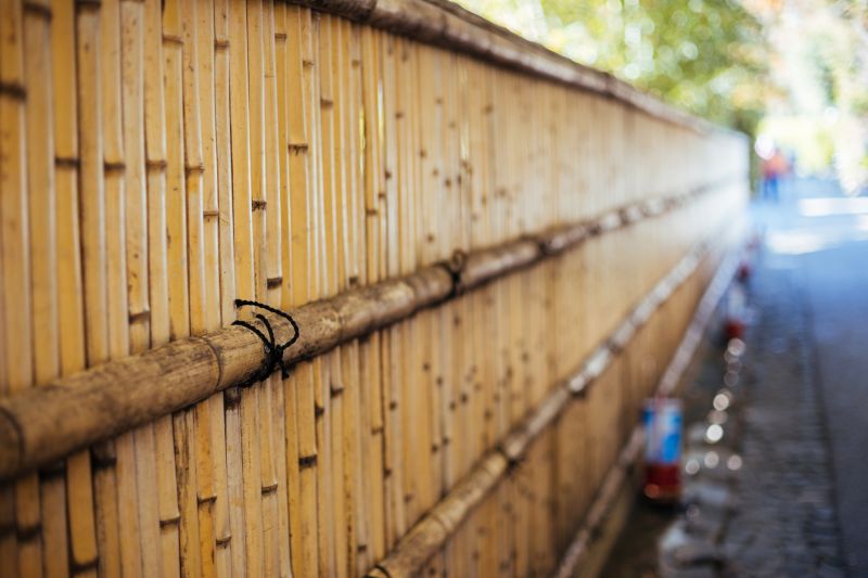 Bamboo Fencing